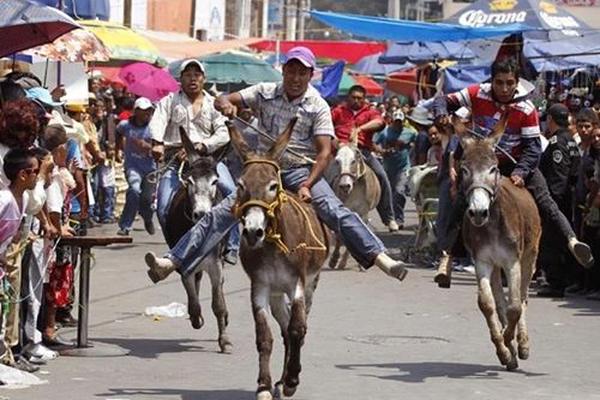 Lễ hội lừa ở Mexico