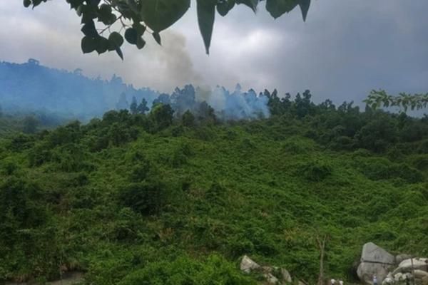 Khống chế kịp thời vụ cháy rừng gần khu du lịch tại Đà Nẵng