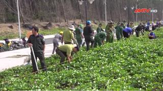 Tuổi trẻ Công an tỉnh Trà Vinh chung tay trồng rừng phòng hộ   