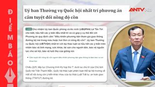 Tin tức nổi bật trên báo ngày hôm nay