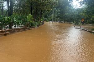  Mưa lớn gây ngập sâu tại huyện Bù Đăng