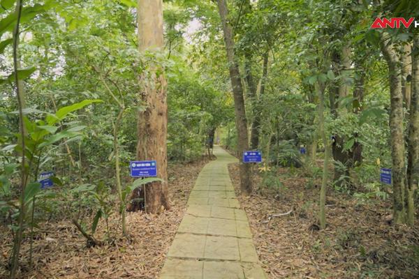Khám phá Bảo tàng Tài nguyên rừng Việt Nam