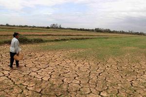 Ngành nông nghiệp chịu tác động trước biến đổi khí hậu