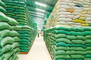  Xuất cấp gạo cho 3 địa phương dịp giáp hạt năm 2024 