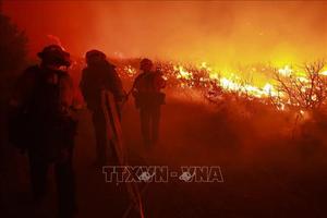 Hy Lạp và Mỹ ứng phó cháy rừng trên diện rộng
