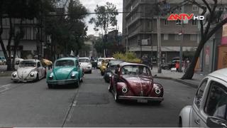 Cuộc diễu hành xe Volkswagen Beetle ở Mexico