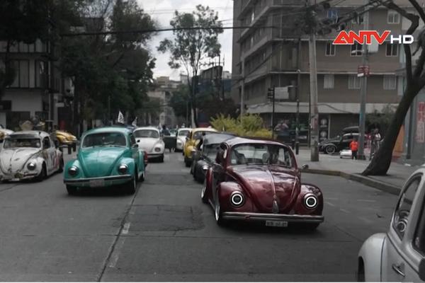 Cuộc diễu hành xe Volkswagen Beetle ở Mexico