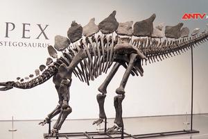 Hóa thạch khủng long đắt giá nhất trong lịch sử