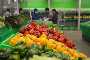 Xuất khẩu rau quả tiến gần mốc 7 tỷ USD