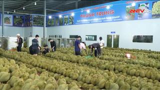 Việt Nam chi hơn 30.000 tỷ đồng nhập rau củ quả