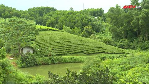 Tình người và đất