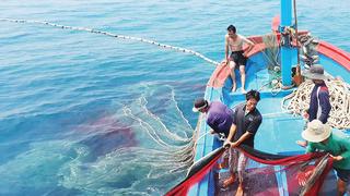 Nhiều nỗ lực trong gỡ “thẻ vàng” cho thủy sản Việt Nam