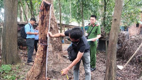 Nhịp sống 24/7 ngày 25/9/2024