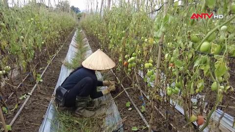 An ninh ngày mới 29/9/2024