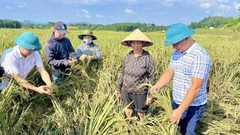 Thủ tướng yêu cầu nhanh chóng phục hồi sản xuất nông nghiệp sau bão