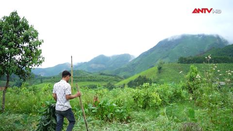 Nâng đỡ người hoàn lương