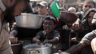 Mỹ, Anh, Pháp, Đức ra tuyên bố chung kêu gọi chấm dứt chiến sự ở Gaza