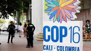  COP16 khai mạc tại Cali, Colombia