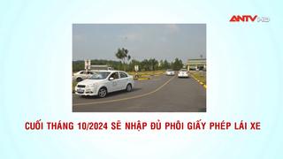 Cuối tháng 10/2024 sẽ nhập đủ phôi giấy phép lái xe