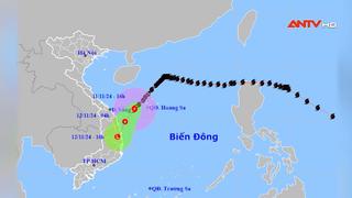 Bão số 7 tiếp tục giảm cấp và sẽ suy yếu thành áp thấp nhiệt đới 