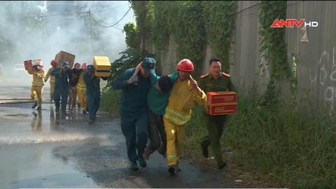 Nhịp sống 24/7 ngày 29/11/2024