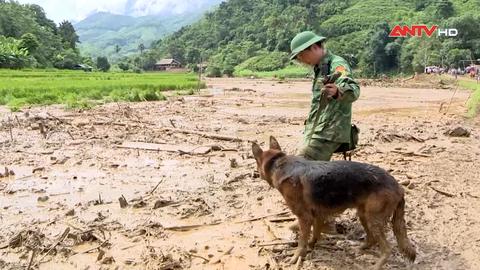 Quân đội với công tác ứng phó thiên tai