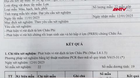 Phát hiện lò mổ nhiều vi phạm tại Long An