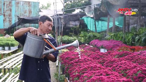 Kinh tế tiêu dùng ngày 26/01/2025