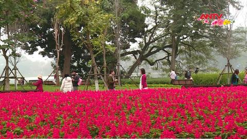 Nhân dân Thủ đô Hà Nội đón Tết trong văn minh, an toàn, vui tươi