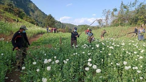 Nhật ký an ninh ngày 19/02/2025