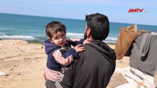 Ủy ban Chữ thập đỏ quốc tế kêu gọi duy trì viện trợ cho Gaza 