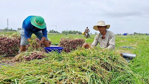 Kinh tế tiêu dùng ngày 19/3/2025