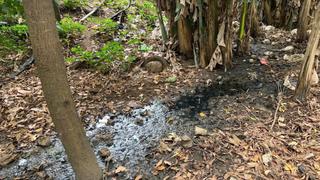 Bắt quả tang xe hút hầm cầu xả chất thải ra sông