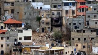 Israel cân nhắc thiết lập khu vực nhân đạo mới ở Gaza