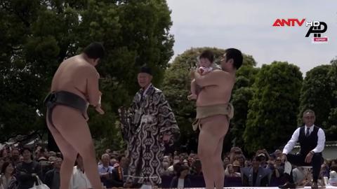 Lễ hội “Sumo khóc” ở Nhật Bản