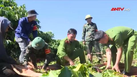  Hiệu quả mô hình dân vận khéo “Chủ nhật về làng”