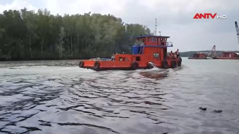 Hơn 5 tấn thủy sản chết vì dầu loang trên sông Lòng Tàu Hơn 5 tấn thủy sản chết vì dầu loang trên sông Lòng Tàu