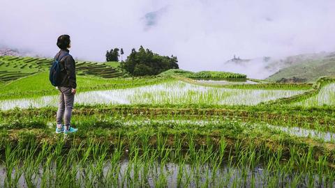 Nhiều thanh niên Trung Quốc về nông thôn 'nghỉ hưu’