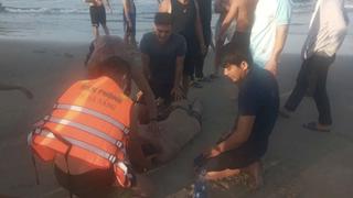 Bộ đội Biên phòng Đà Nẵng cứu sống 2 cậu, cháu bị đuối nước
