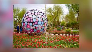 Rực rỡ sắc màu Lễ hội hoa Tehran, Iran