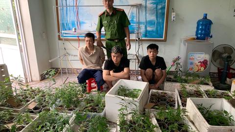 113 Online ngày 19/5/2025