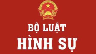 Sửa đổi Bộ Luật hình sự : hoàn thiện nền tảng pháp lý cho phát triển bền vững, hội nhập