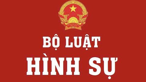 Sửa đổi Bộ Luật hình sự : hoàn thiện nền tảng pháp lý cho phát triển bền vững, hội nhập