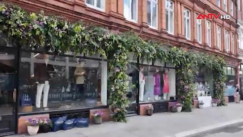 Triển lãm hoa Chelsea ở Anh