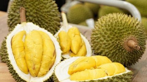 Nhiều nỗ lực kiểm soát chất lượng trái sầu riêng xuất khẩu