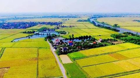 Ngày 30/5, hạn cuối nộp giấy đề nghị gia hạn tiền thuế, tiền thuê đất