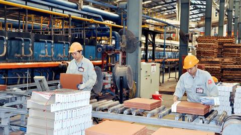 TP.HCM nỗ lực phát triển kinh tế tư nhân 