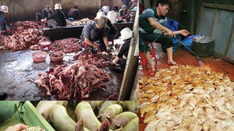 Thực phẩm "bẩn" bủa vây người tiêu dùng, cần chế tài đủ mạnh