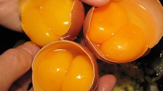 Trứng hai lòng đỏ - hiểu đúng để không lo lắng