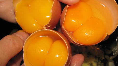 Trứng hai lòng đỏ - hiểu đúng để không lo lắng